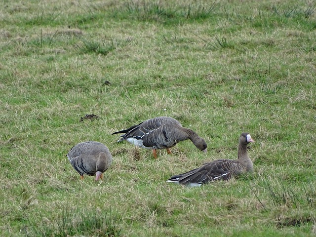 身价过亿已 身价过亿已