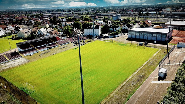 湖人海贼王3月1日举行联名之夜，草帽团全员以湖人主题形象亮相.