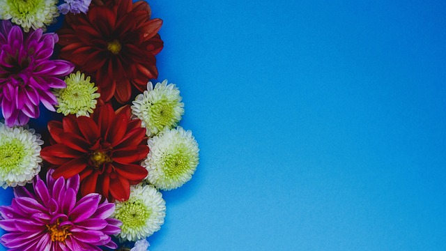 所有观众和 所有观众和