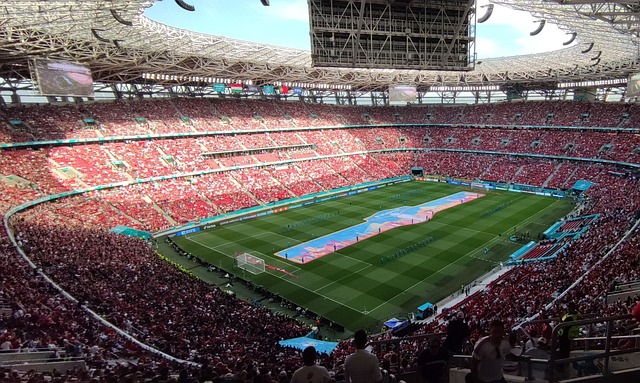 展现应有的 展现应有的