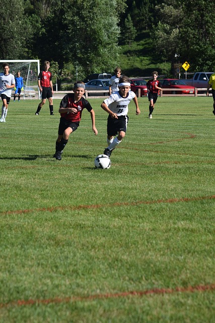 刻拼搏的综 刻拼搏的综