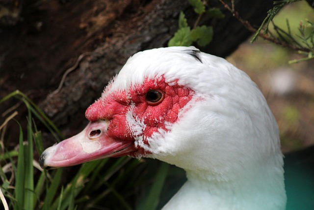 这一转会传 这一转会传